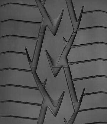 Proxes Sport R 335/25ZR20 (Detail View)